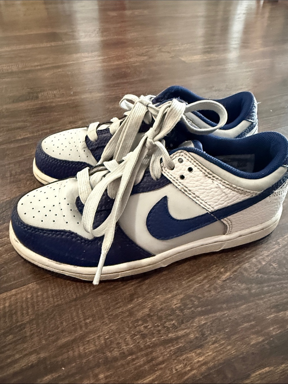 Kids Nike Dunks Blue Gray and White Size 13